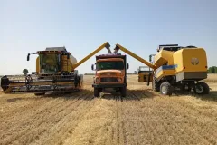 photo11819066154_result