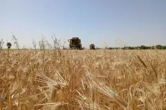 photo11819068735_result