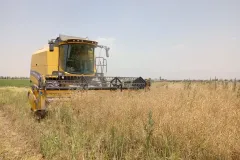 photo11958579700_result