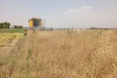 photo11958593221_result