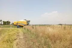 photo11958608315_result