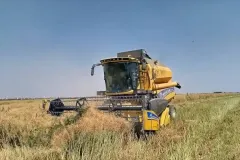 photo12224720768_result