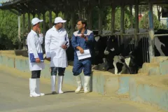 IMG_6695_result