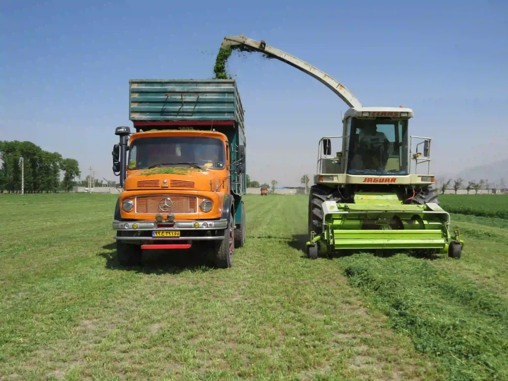 “گامی نوین به سوی مدیریت هوشمند علوفه در تلیسه نمونه”