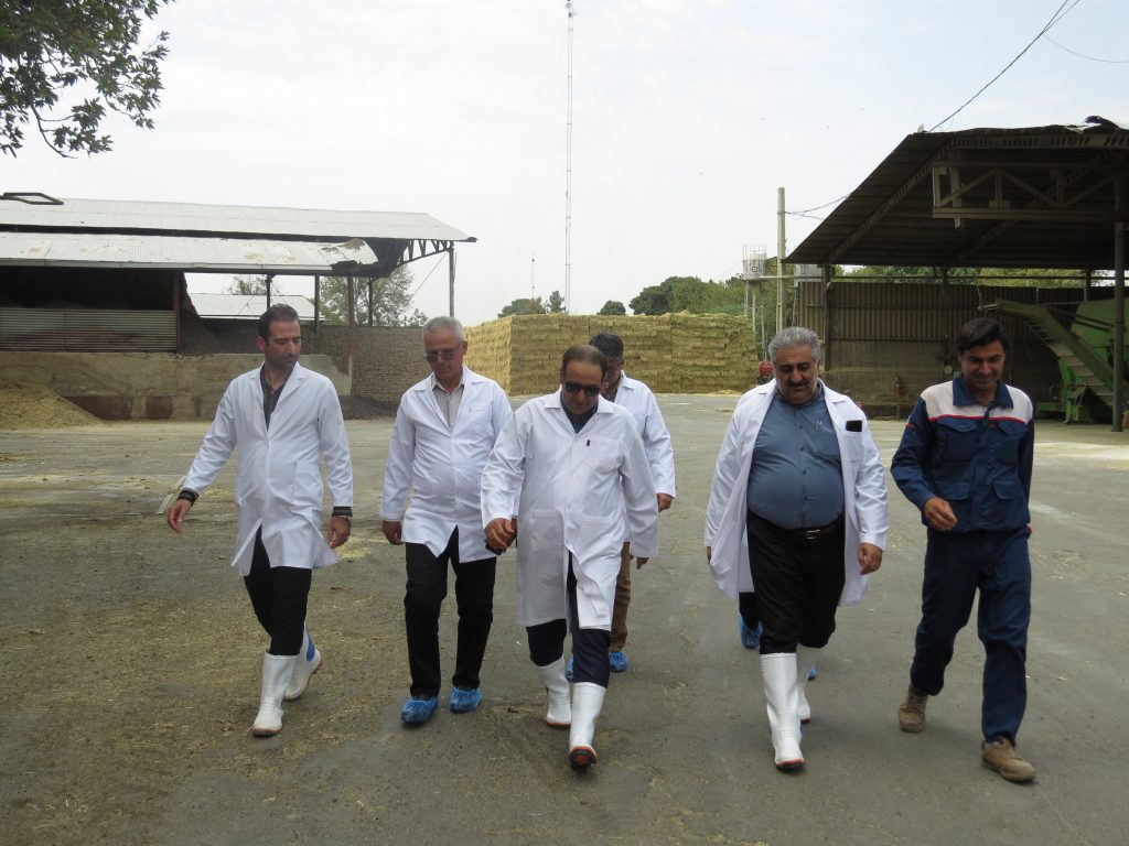 هم‌اندیشی برای تحول