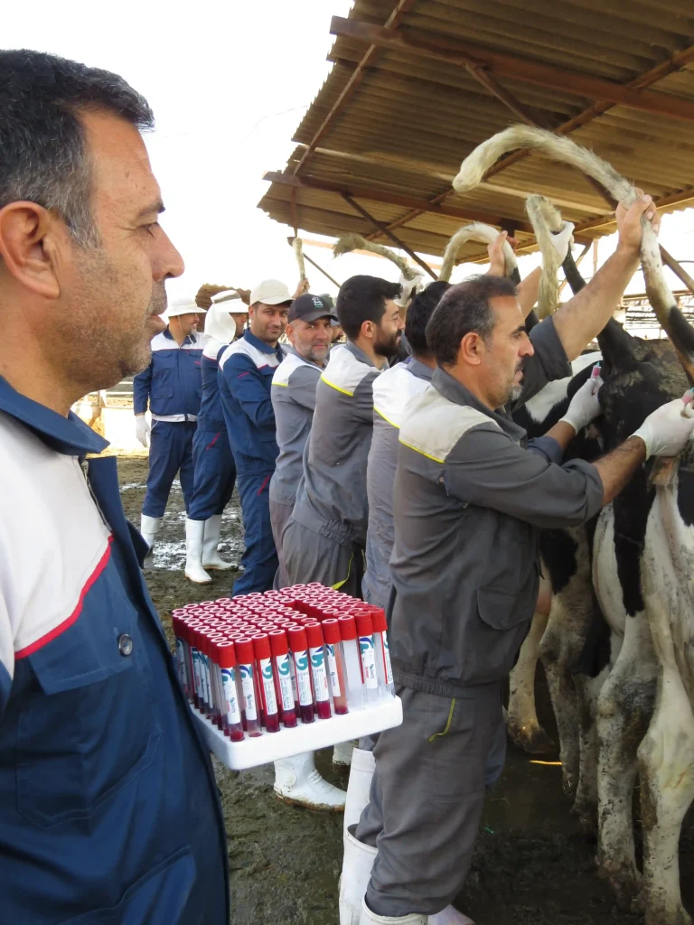 گامی مؤثر در پایش سلامت دام‌ها