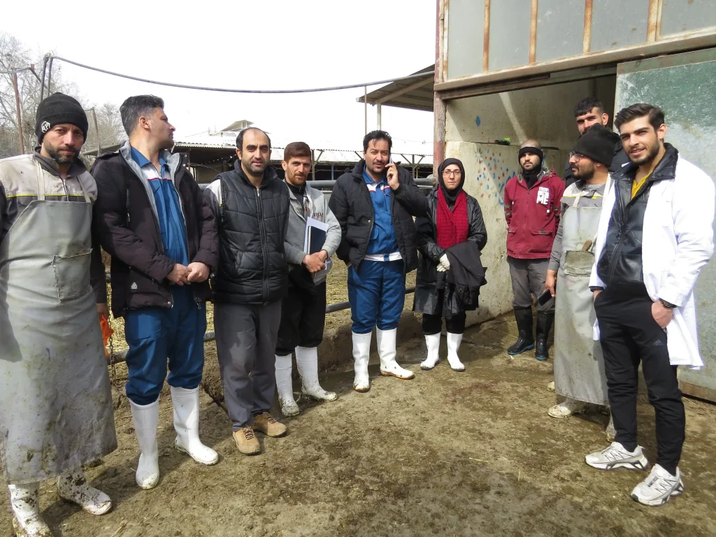 آزمون مهارت‌های عملی و تئوری سم‌چینی؛ گامی دیگر در مسیر دامپروری علمی